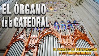 La Restauración Órgano Catedral Inmaculada Concepción de La Plata  Argentina  Año 2023 [upl. by Aznerol]