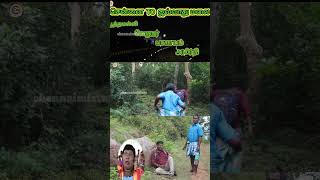 சித்திரகுல்லர்கள்chithra kullargalchennaimixturetrending [upl. by Onimod]