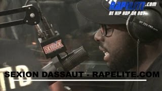 Sexion dAssaut  Live Morceau Desolé [upl. by Kristine]