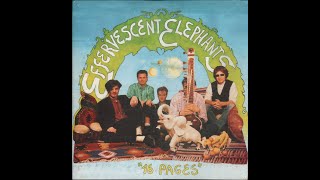 EFFERVESCENT ELEPHANTS  16 PAGES    PsychOut Records PO33001  1995    FULL ALBUM [upl. by Lebaron]