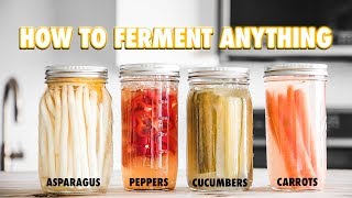 The Guide to LactoFermentation How To Ferment Nearly Anything [upl. by Ordnassela943]