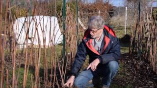 Le Potager du Paresseux  une visite le 19 février 2017 [upl. by Noiramed475]