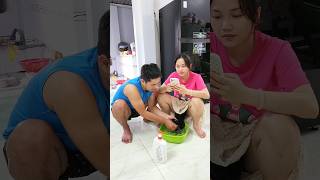 Long time no wash hair 🤣😂 funny couple shorts [upl. by Aroled]