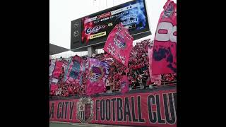 Osaka derby  cerezo Osaka Vs Gamba Osaka 31st August 2024  1800pm 1900pm live  Ganbatte Osaka🩷 [upl. by Kironde]