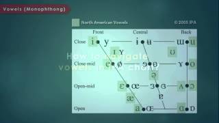 Articulatory Phonetics Introduction to International Phonetic Alphabet [upl. by Anieral956]