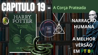 Harry Potter e as Relíquias da Morte ⚡ CAPITULO 19 Audiolivro em PTBR [upl. by Enattirb115]