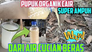 CARA MUDAH MEMBUAT PUPUK ORGANIK CAIR POC DENGAN HASIL YANG OPTIMAL [upl. by Anaira]