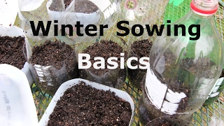 Winter Sowing BasicsFor Beginners [upl. by Jacquenette]