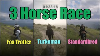 Short Track Race  Missouri Fox Trotter vs Turkoman vs American Standardbred  RDR2 [upl. by Cynthla]