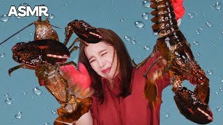 Mukbang 살아있는 가재 먹방🌊Live Lobster Sashimi クレイフィッシュ gia tài กุ้งนาง 螯蝦屬 Eatingsound Realsound ASMR [upl. by Oned462]