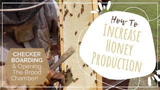 How to increase honey production Checkerboarding and opening the brood chamber [upl. by Chadburn]