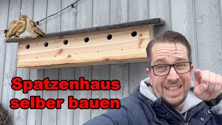 Nistkasten selber bauen  Spatzenhaus bauen  Vogelhaus aus Holz bauen  Meisenkasten selbst bauen [upl. by Xavler]