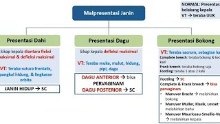 Presbo Presentasi Bokong Cara Teknik Spontan Bracht Klasik Muller Lovset Mauriceu UKMPPD OSCE [upl. by Rosel]