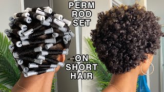 PERM ROD SET on SHORT NATURAL HAIR  First Rod Set On My Big Chopped Hair [upl. by Aranahs]