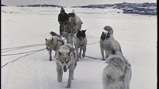 An InuitEskimo family in the Arctic 1959 [upl. by Idaf64]