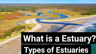 What is Estuary  Types of Estuaries  Hindi [upl. by Redman]