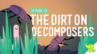 The Dirt on Decomposers Crash Course Kids 72 [upl. by Rovert]