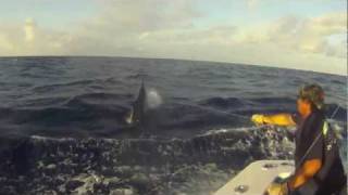 2011 KEKOA Black Marlin Jump Shots [upl. by Silvio226]