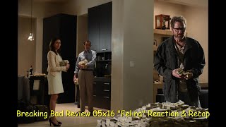 Breaking Bad Review 05x16 quotFelinaquot Reaction amp Recap [upl. by Xonk]