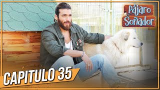 Pájaro soñador  Capitulo 35 Audio Español  Larga Capitulo  Erkenci Kuş [upl. by Aneekahs]