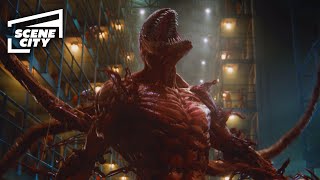 Venom Let There Be Carnage Prison Break HD MOVIE CLIP  With Captions [upl. by Arie]