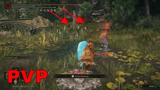 Invader Baiting and Trolling on Elden Ring DLC [upl. by Derrek767]