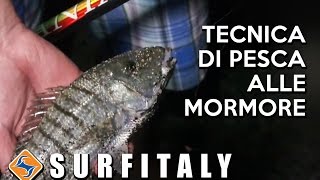 Tecnica di pesca alle mormore dalla spiaggia [upl. by Annirak]