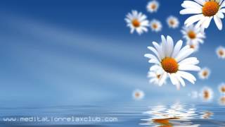 Ayurvedic Healing 3 HOURS Positive Thinking Music for Ayurveda and Spa [upl. by Burdett475]