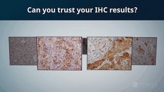 Can you trust your immunohistochemistry IHC results  CST Validation [upl. by Gaddi426]