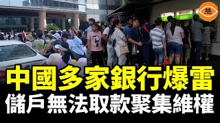 中國金融業集體最大詐騙銀行、基金和信託機構欺騙民眾 普通百姓只能被割韭菜 [upl. by Naaman]