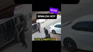 Los chapitos disparan a carro en Sinaloa narcosmexico sinaloa narcos culiacan ejércitomexicano [upl. by Knox]