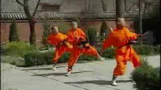 Shaolin Monks Training [upl. by Malet931]