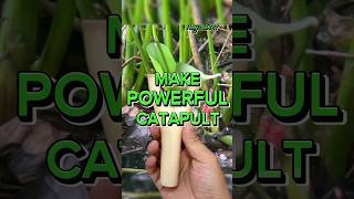 How To Build A Catapult for Kids  STEM Activities for Kids  shorts [upl. by Hugo611]