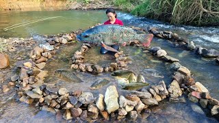 Encounter giant schools of fish blocking the water catch fish and bring them to the market to sell [upl. by Stevy]