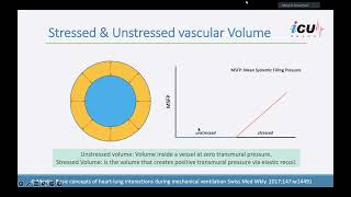 Basic Physiology in Hemodynamics [upl. by Mikkanen]