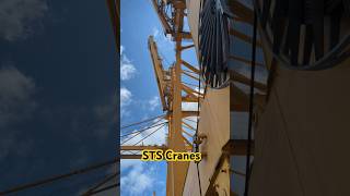 STS Cranes foryou fypシ゚viral viralshort marine [upl. by Notkcorb]