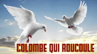 Colombe qui Roucoule le Cri de la colombe chant chante [upl. by Huei]