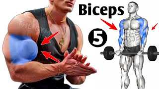 5 Fastest Effective Biceps Workout  Gym Biceps Workout [upl. by Namien]