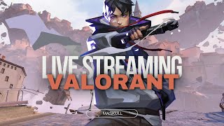 LIVESTREAMING Streamer Magang  Solo Valo [upl. by Ohs687]