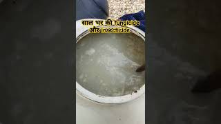 साल भर की fungicide और insecticide agriculture किसानकीखेती123 ytshorts [upl. by Kablesh]