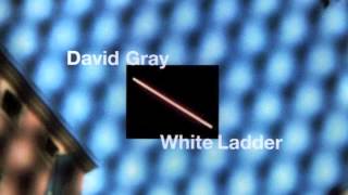 David Gray  Nightblindness Official Audio [upl. by Jany]