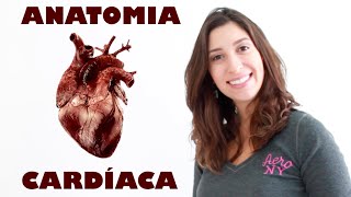 Anatomia Cardíaca Básica  Anatomia e etc [upl. by Lejeune228]