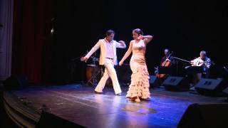 FLAMENCO TANGO NEAPOLIS  Trailer di Viento [upl. by Mauchi]