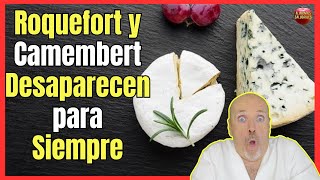 🔴 ¿LOS QUESOS ROQUEFORT Y CAMEMBERT DESAPARECERAN PARA SIEMPRE EN DOS AÑOS 🔴 [upl. by Guenevere545]