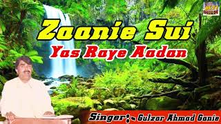 Zaanie Sui Yas Raye Aadan  Most Popular Kashmiri Song  Gulzar Ahmad Ganie  Kashmiri MTI Films [upl. by Kurt]