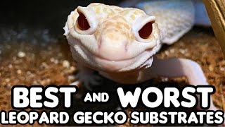 BEST and WORST Leopard Gecko Substrates [upl. by Faunie]