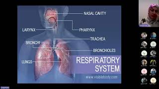 Asthma Lecture Definition Pathophysiology and Phenotypes [upl. by Nehtan611]