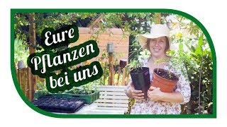 Eure Pflanzen bei uns im Gartengemüsekiosk – Danke für die Vielfalt [upl. by Cicely73]