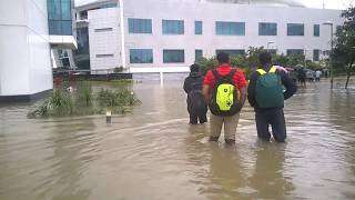 Chennai flood 2015 December  Sholinganallur Office Campus  சென்னை [upl. by Caritta97]