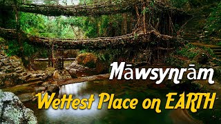 Mawsynram  Discover The Wettest Places On Earth with 39 Feet of Rain  Meghalaya Shorts [upl. by Madian]